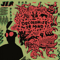 Thumbnail for the JER - Decolonize Yr Mind link, provided by host site
