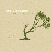 Thumbnail for the Ani DiFranco - Decree link, provided by host site