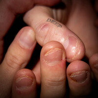 Thumbnail for the Devon Again - deep link, provided by host site