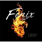Thumbnail for the Fenix - Deep link, provided by host site