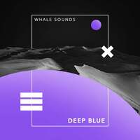 Thumbnail for the Whale Sounds - Deep Blue link, provided by host site
