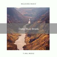 Thumbnail for the Fresh Water Sounds - ! ! ! ! Deep Blue Brook link, provided by host site