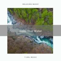 Thumbnail for the Fresh Water Sounds - ! ! ! ! ! Deep Blue Water link, provided by host site