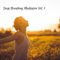 Thumbnail for the Yoga Workout Music - Deep Breathing Meditation Vol. 1 link, provided by host site