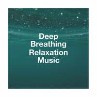 Thumbnail for the Reading and Studying Music - Deep Breathing Relaxation Music link, provided by host site