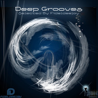 Thumbnail for the Fideldeejay - Deep Grooves link, provided by host site