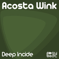 Thumbnail for the Acosta Wink - Deep Incide link, provided by host site