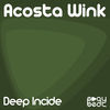 Thumbnail for the Acosta Wink - Deep Incide link, provided by host site