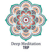 Thumbnail for the White Noise Research - Deep Meditation Trip link, provided by host site