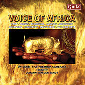Thumbnail for the University Of Pretoria Camerata - Deep River link, provided by host site