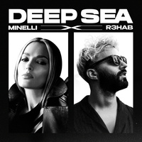 Thumbnail for the Minelli - Deep Sea link, provided by host site