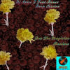 Thumbnail for the DJ Spice T - Deep Session (Dex the Magician Remixes) link, provided by host site