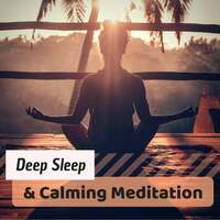 Thumbnail for the Calming Music Academy - Deep Sleep & Calming Meditation - 432Hz to Raise your Personal Power & Heal Deeply link, provided by host site