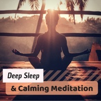 Thumbnail for the Calming Music Academy - Deep Sleep & Calming Meditation link, provided by host site