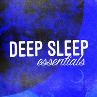Thumbnail for the Deep Sleep Systems - Deep Sleep Essentials link, provided by host site