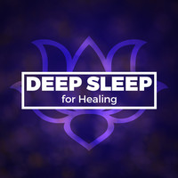 Thumbnail for the Deep Sleep Systems - Deep Sleep for Healing link, provided by host site