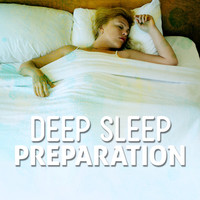 Thumbnail for the Deep Sleep Systems - Deep Sleep Preparation link, provided by host site