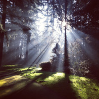 Thumbnail for the Rain for Deep Sleep - Deep Sleep Rain Sounds link, provided by host site