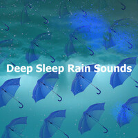 Thumbnail for the Rainforest - Deep Sleep Rain Sounds link, provided by host site