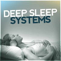 Image of Deep Sleep Systems linking to their artist page due to link from them being at the top of the main table on this page