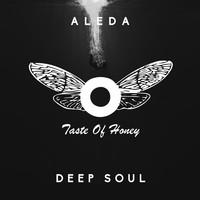 Thumbnail for the Aleda - Deep Soul link, provided by host site