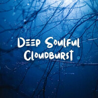 Thumbnail for the Ambient Music Collective - Deep Soulful Cloudburst link, provided by host site