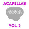 Thumbnail for the Alejandro Montero - Deeper Heaven Acapellas, Vol. 3 link, provided by host site
