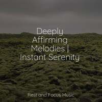 Thumbnail for the Shakuhachi Sakano - Deeply Affirming Melodies | Instant Serenity link, provided by host site