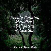 Thumbnail for the Meditation Music Club - Deeply Calming Melodies | Delightful Relaxation link, provided by host site