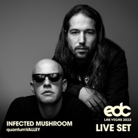 Thumbnail for the Infected Mushroom - Deeply Disturbed (Lifeforms, Symbolic & Afterlife Remix) [Mixed] link, provided by host site