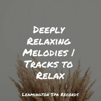 Thumbnail for the Baby Sweet Dream - Deeply Relaxing Melodies | Tracks to Relax link, provided by host site