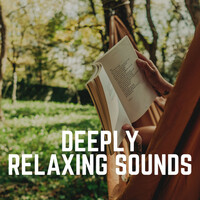 Thumbnail for the Relaxing Music - Deeply Relaxing Sounds link, provided by host site