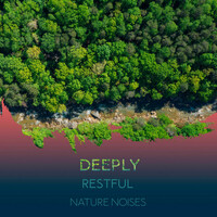 Thumbnail for the Nature Sound Series - Deeply Restful Nature Noises link, provided by host site