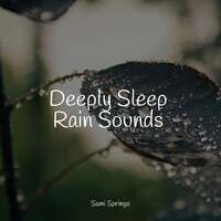 Thumbnail for the Meditation Rain Sounds - Deeply Sleep Rain Sounds link, provided by host site