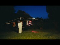 Thumbnail for the Mallrat - Defibrillator (Official Visualizer) link, provided by host site