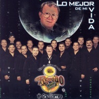 Thumbnail for the Banda El Recodo de Cruz Lizárraga - Deja link, provided by host site