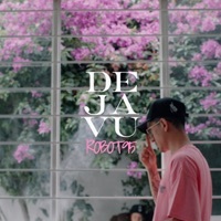Thumbnail for the Robot95 - Deja Vu link, provided by host site