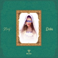 Thumbnail for the NEJ' - Delhi link, provided by host site