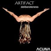 Thumbnail for the Artifact - Deliberateness link, provided by host site