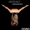 Thumbnail for the Artifact - Deliberateness link, provided by host site