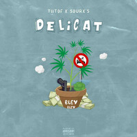 Thumbnail for the Tiitof - Délicat link, provided by host site