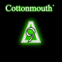 Thumbnail for the Cottonmouth - Delta 9 (Tribute to Butch McMaster III) link, provided by host site