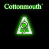 Image of Cottonmouth linking to their artist page due to link from them being at the top of the main table on this page