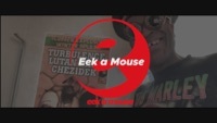 Thumbnail for the Eek-A-Mouse - Dem Ago Tyad Fi Hear Mi Name (Official Video) link, provided by host site