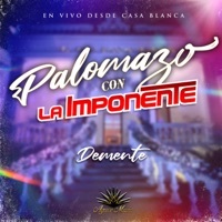 Thumbnail for the La Imponente Vientos de Jalisco - Demente (En Vivo Desde Casa Blanca) link, provided by host site