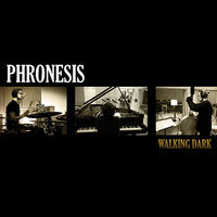 Thumbnail for the Phronesis - Democracy link, provided by host site