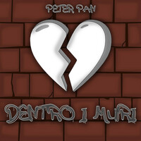 Thumbnail for the Peter Pan - Dentro i muri link, provided by host site