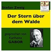 Thumbnail for the Stefan Zweig - Der Stern über dem Walde link, provided by host site