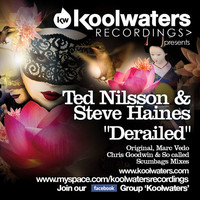 Thumbnail for the Ted Nilsson - Derailed link, provided by host site