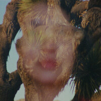 Thumbnail for the Jorge Drexler - Derrumbe link, provided by host site